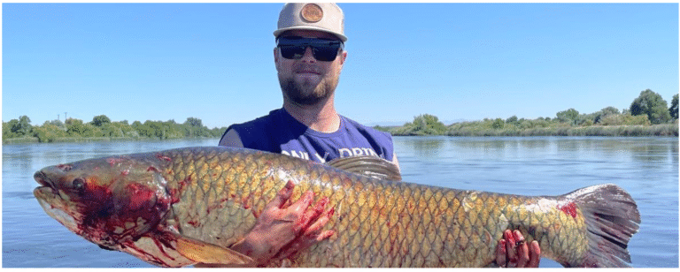 Screenshot 2025-06-17 162704