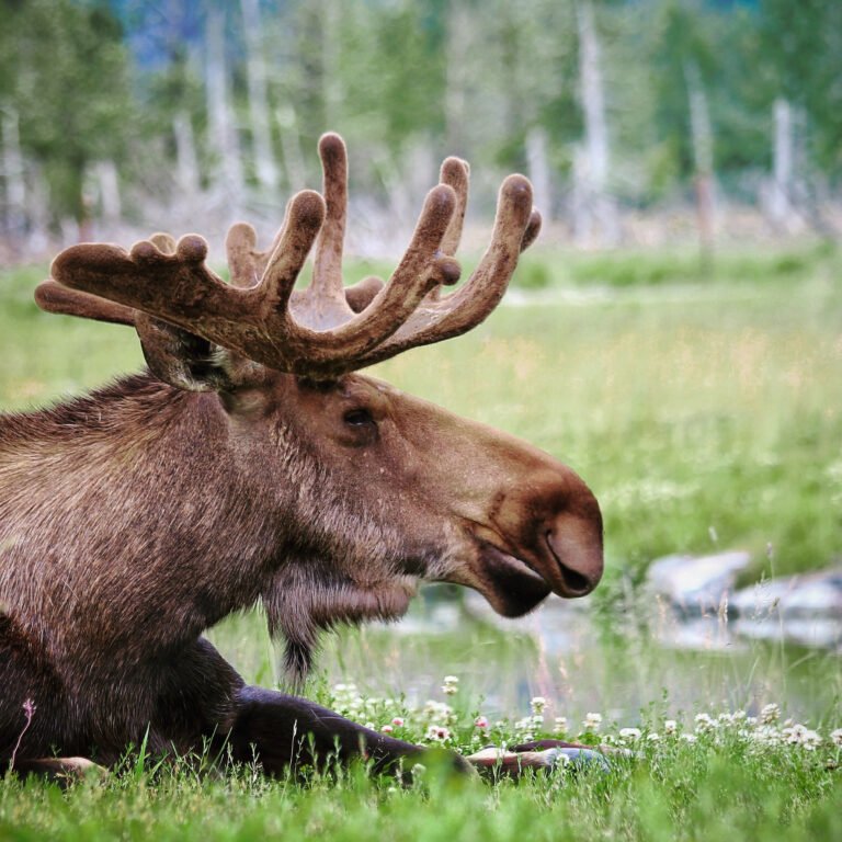 Processed with Snapseed